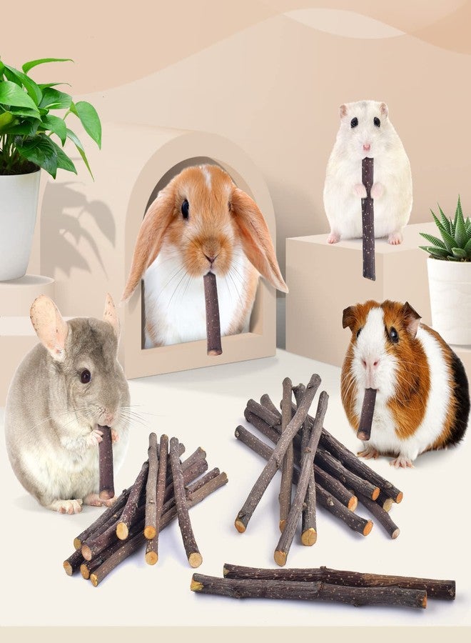 Bissap 230g/8.1oz Apple Sticks for Rabbits, Natural Bunny Chew Toys and Treats for Chinchilla Guinea Pig Hamster Gerbil Small Animals Pet Apple Wood Stick Toys Teeth Grinding - Image 4